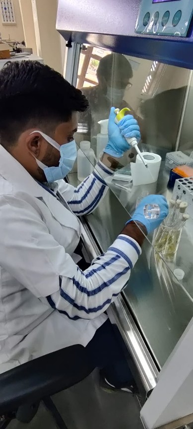 Development of Advanced Greywater Treatment Units for Rural Sustainability-3