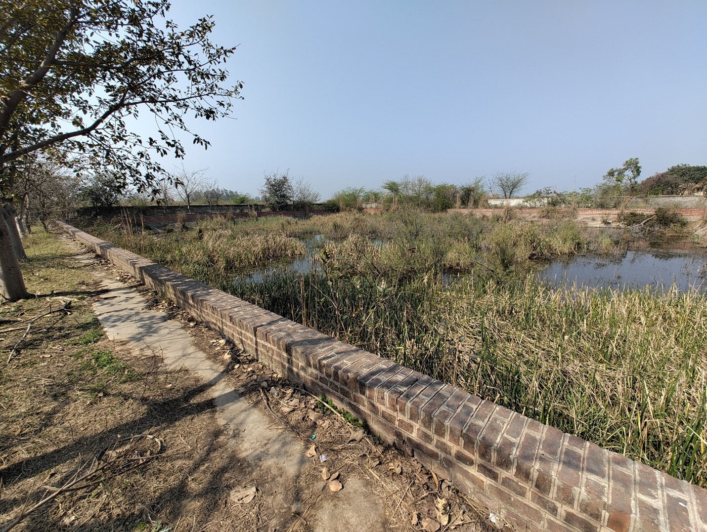 Sewage Manhole Gas Analysis for Safety in Jodhpur Old City-5