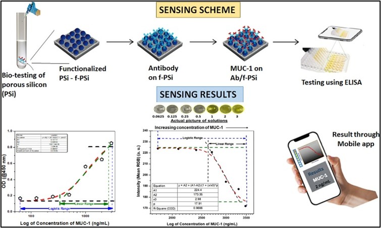 smartphone integrated ELISA for sensitive
detection of breast cancer biomarker