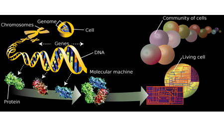 Postgraduate Diploma in Next Generation OMICS Technologies and Applications