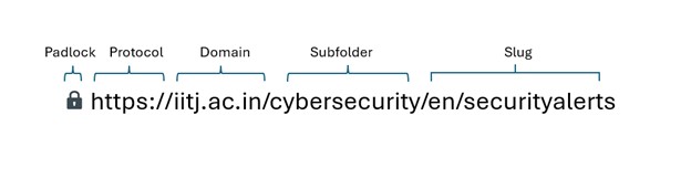URL Structure Information